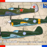 Сборная модель "Истребитель P-40M "Warhawk" (Involuntarily From Russia To Finland) М 1/72