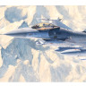 Сборная модель "Американский истребитель F-16CJ (Block 50)"  М 1/72