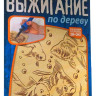Набор для выжигания "Золотые рыбки"