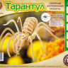 Конструктор из дерева "Тарантул малый"