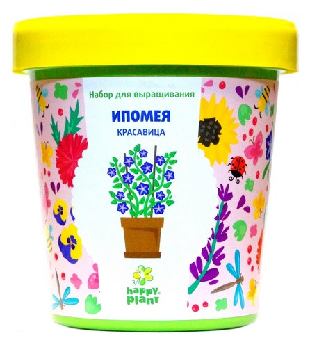 Набор для выращивания "Ипомея красавица"