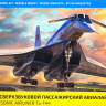 Сборная модель "Сверхзвуковой пассажирский авиалайнер Ту-144"   М 1/144