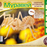 Конструктор из дерева "Муравей"
