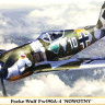 Сборная модель "Немецкий истребитель Fw 190A-4 "Nowotny" (Limited Edition)   М 1/48
