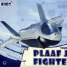 Китайский истребитель J-20  (сборка без клея)